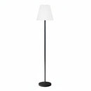 Close up of the remote control included with the 220V LED decorative floor lamp